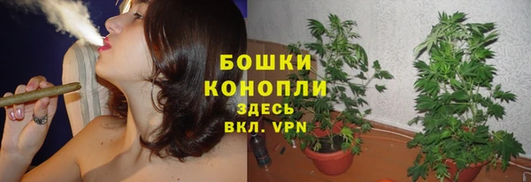 соль ск Богданович