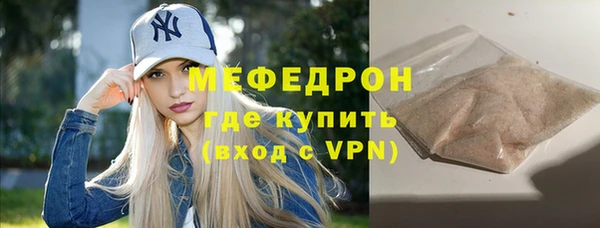 сатива Туринск