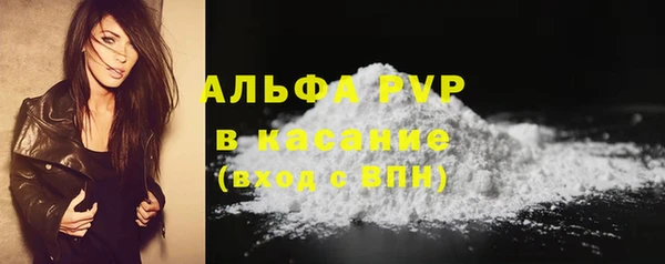 дживик Тутаев