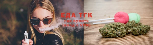 сатива Туринск