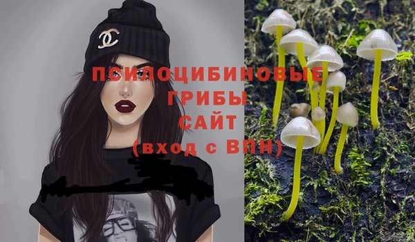 дживик Тутаев