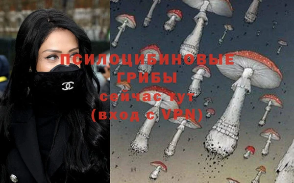 ALPHA PVP Тында