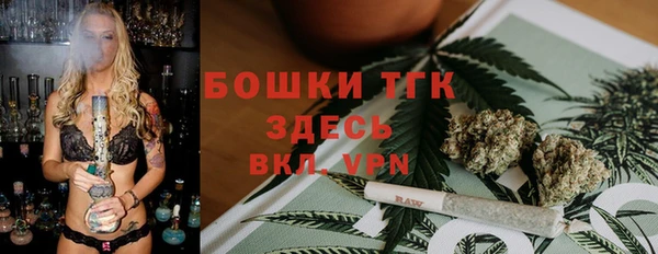 сатива Туринск
