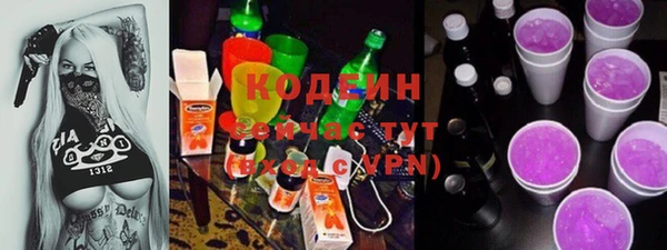 соль ск Богданович