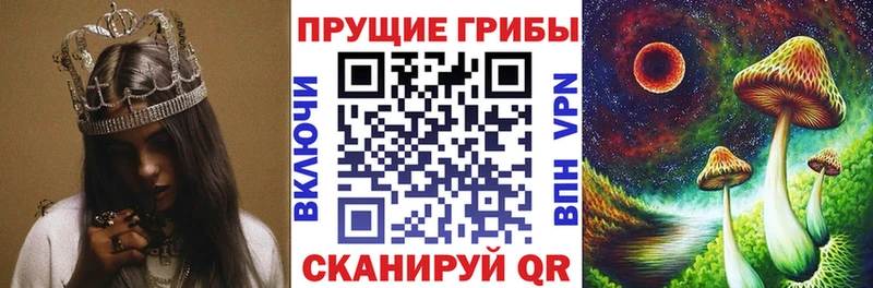 Галлюциногенные грибы Psilocybe Мышкин